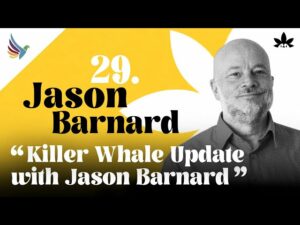 Thumbnail: Killer Whale Update e E.E.A.T com Jason Barnard (The Brand SERP Guy)